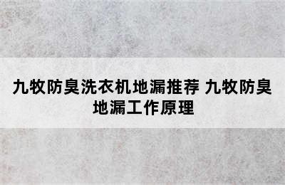 九牧防臭洗衣机地漏推荐 九牧防臭地漏工作原理